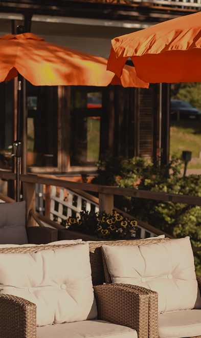 The Taste of Life Overlooking the Bay